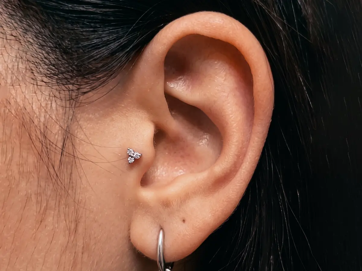 Tragus piercing kulak kanalı önünde takı yerleşim örneği
